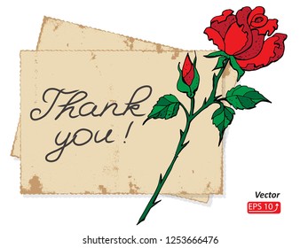 Colorful  Postal card with thank you letter, blank sheet of old paper, flower red rose,  isolated on white   background vector illustration.