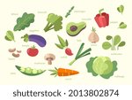 Colorful poster with different fresh vegetables. Tomato, beet, bay leaf, pepper, eggplant, cucumber, broccoli, carrot, pumpkin, avocado onion and rosemary Flat cartoon vector illustration