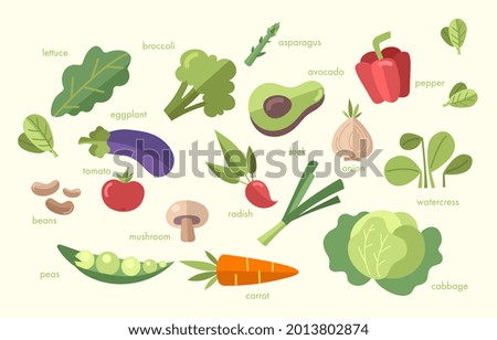 Colorful poster with different fresh vegetables. Tomato, beet, bay leaf, pepper, eggplant, cucumber, broccoli, carrot, pumpkin, avocado onion and rosemary Flat cartoon vector illustration