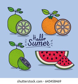 colorful poster of hello summer with citrus fruits and watermelon vector illustration