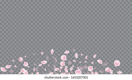 Colorful Poster On Soft Transparent Background. Flying Petals In Watercolor Style. Magenta on Transparent. Modern Abstract Ribbon.