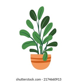 Colorful pot, succulent, home garden, indoor trees. Potted plant. Vector illustration for interior, botany, house decoration