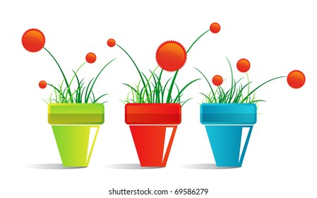 colorful pots of flowers in the form de menu for web