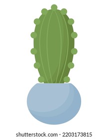 colorful potted cactus over white