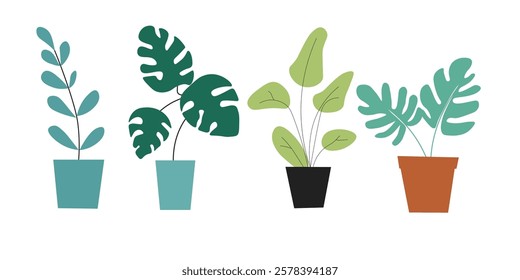 Colorful potted plants in various styles, perfect for home decor