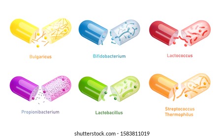 Colorful probiotic bacteria capsule set isolated on white background - open plastic pill with different types of probiotics. Medical vector illustration.