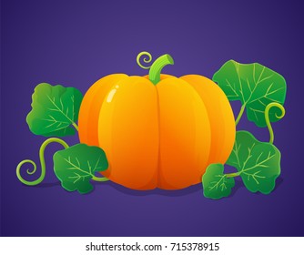 Colorful pumpkin with green leaves and vines isolated on violet background. Vector illustraton.