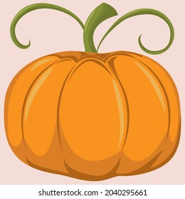 Colorful Pumpkin image for Thanksgiving or Halloween. Vector illustration