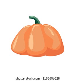 colorful pumpkin over white background vector illustration. Halloween sumbol