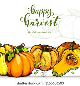 Colorful pumpkin sketch hand drawn illustration. Vegetable engraved style illustration. Detailed vegetarian food sketch. Farm market product.