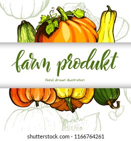 Colorful pumpkin sketch hand drawn illustration. Vegetable engraved style illustration. Detailed vegetarian food sketch. Farm market product.