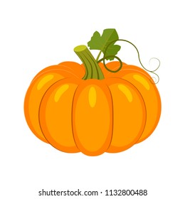 Colorful pumpkin vector illustration isolated on white background.