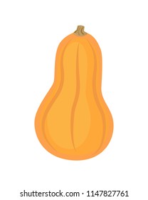 Colorful pumpkin vector illustration isolated on white background. Autumn design.