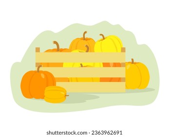 Colorful pumpkins in box. Autumn harvest. Vector illustration.