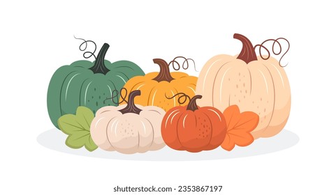 Colorful pumpkins fall design. Vector illustration in flat style