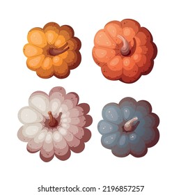 Colorful pumpkins top view. Isolated on the white background. Autumn, harvest, thanksgiving day concept. Vector illustration.