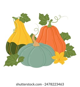 Colorful Pumpkins with vines and leaves. Fall floral arrangement with pumpkins, flower, and leaves. Hand drawn flat style Isolated on transparent. Seasonal harvest Cucurbita plant. Vector illustration