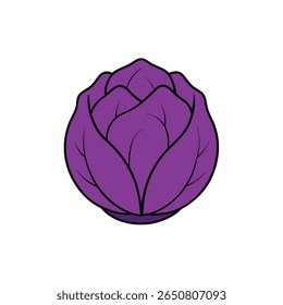 Colorful purple cabbage textured veins flat veggie design Vector illustration