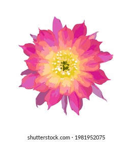 Colorful purple floral ,drawing watercolor,Hand made botanical illustration.