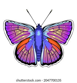 Colorful purple, orange and blue butterfly isolated on white background. Concept of beautiful nature insect. Vector illustration