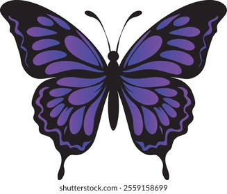 Colorful purple and pink butterfly isolated on white background