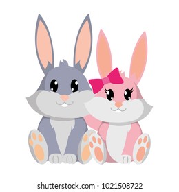 colorful rabbit couple cute animal together