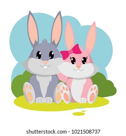 colorful rabbit couple cute animal in the landscape