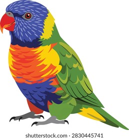 Colorful Rainbow Lorikeet Parrot Vector Illustration Isolated on White