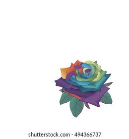 Colorful rainbow vector rose on white background, isolated.