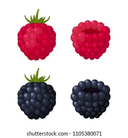 Colorful raspberry and blackberry icons on a white background. Set. Design for a label, banner, poster. Vector illustration.