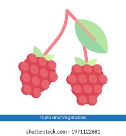 Colorful Raspberry icon vector design. Fruits and Vegetables symbol for your website design, logo, app, 