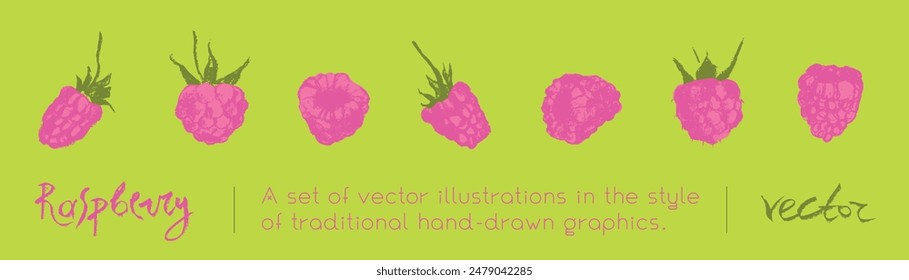 Colorful raspberry icons. Color raspberries set of vector symbols. Raspberries logo template and blackberries drawings. Pink berry sketches. Blackberry label. Hand drawn mulberry illustrations.