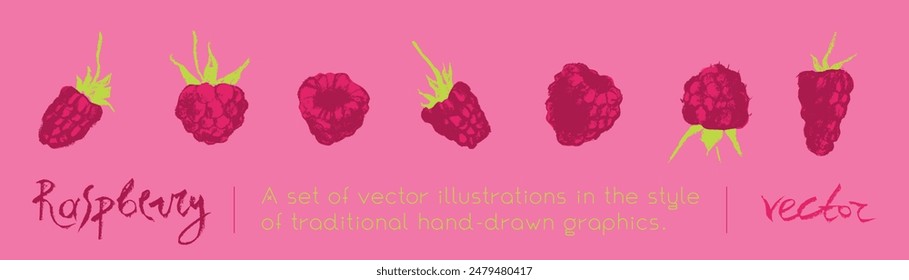 Colorful raspberry icons. Color raspberries set of vector symbols. Raspberries logo template and blackberries drawings. Pink berry sketches. Blackberry label. Hand drawn mulberry illustrations.