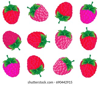 Colorful raspberry pattern - Illustration
Banner - Sign, Berry Fruit, Cream, Digital Display, Food,fruit