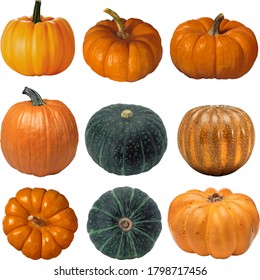 Colorful realistic autumn harvest Halloween pumpkins set 