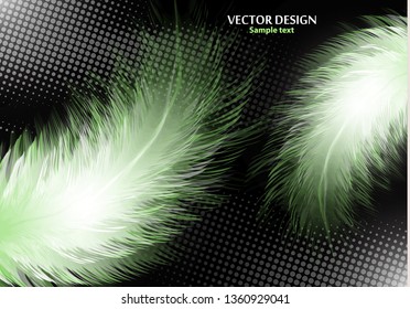 Colorful realistic bird feathers isolated on black background, halftone effects. Vector illustration for your design.