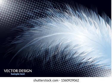 Colorful realistic bird feathers isolated on black background, halftone effects. Vector illustration for your design.