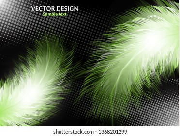 Colorful realistic bird feathers isolated on black background, halftone effects. Vector illustration for your design.