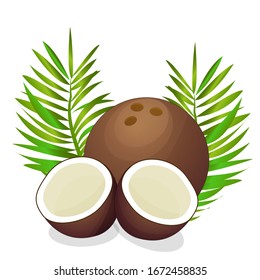Colorful realistic coconut in vector design isolated on white background. Decorated with palms leaves. Organic food, exotic ingredient. 