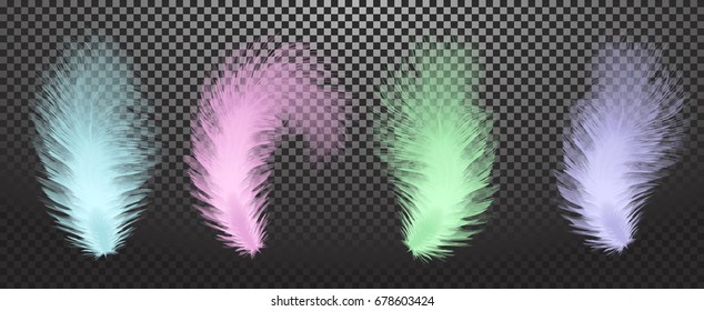 Colorful realistic feathers isolated