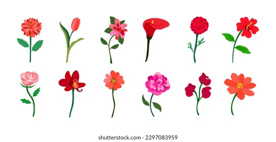 Colorful realistic flat flowers set. Red and pink colors. Perfect for illustrations and nature education.