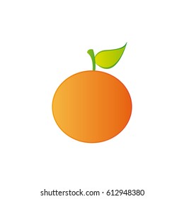 colorful realistic orange fruit food vector illustration
