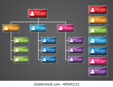 Colorful Rectangle Organization Chart Infographics with People Icon, Glass Style,  Business Structure, Vector Illustration.