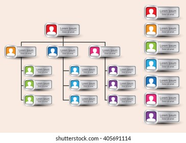 Colorful Rectangle Organization Chart Infographics With People Icon, Metallic Color, Business Structure, Vector Illustration.