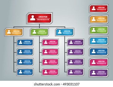 Colorful Rectangle Organization Chart Infographics, Business Structure,  Metallic Color, Vector Illustration.