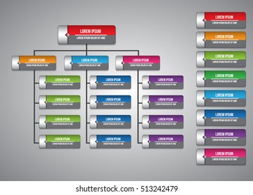 Colorful Rectangle Organization Chart Infographics, Color Arrow Design, Business Structure, Vector Illustration.