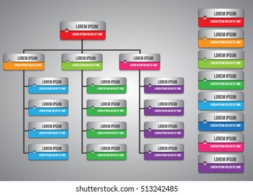 Colorful Rectangle Organization Chart Infographics, Color Arrow Design, Business Structure, Vector Illustration.
