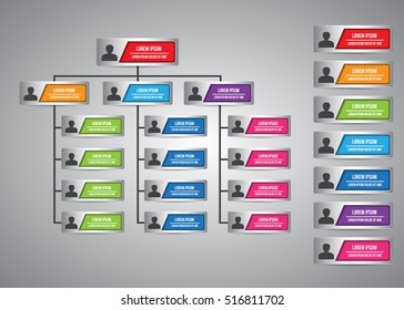 Colorful Rectangle Organization Chart Infographics With People Icon And Text Information, Business Structure, Vector Illustration.