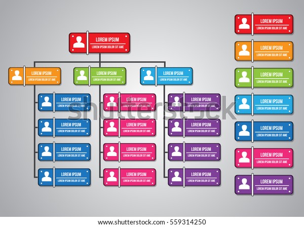 Colorful Rectangle Organization Chart Infographics Rectangle Stock ...