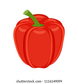 Colorful red bell pepper vegetable vector illustration isolated on white background.